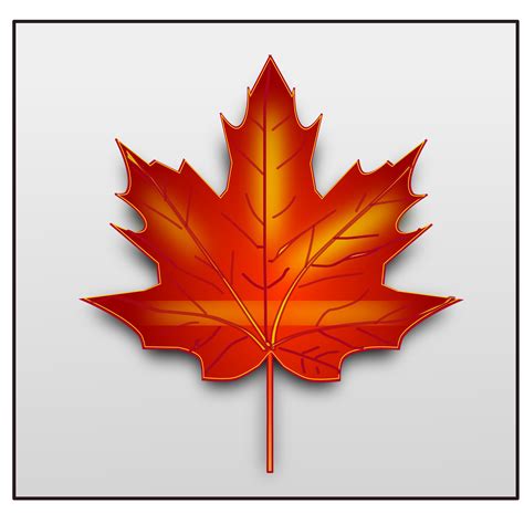 maple leaf graphics free.